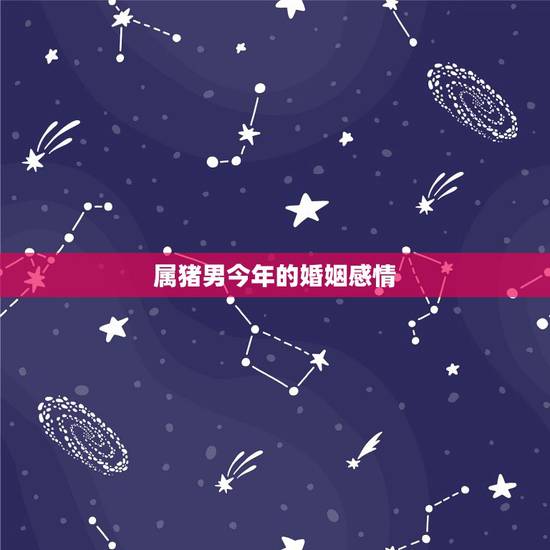 属猪男今年的婚姻感情，属猪女和属猪男的婚姻怎么样？