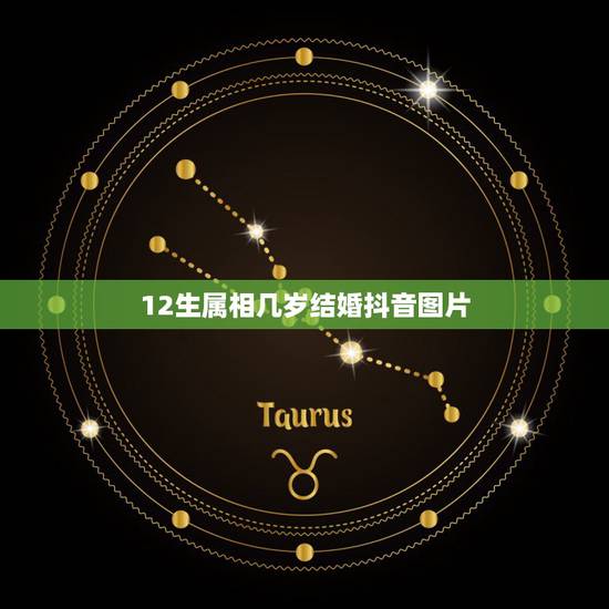 12生属相几岁结婚抖音图片，十二生肖岁数年龄表