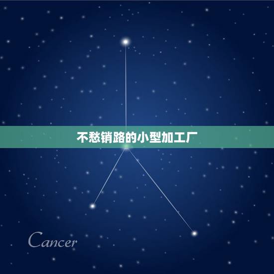 不愁销路的小型加工厂，不愁销路的小工厂项目