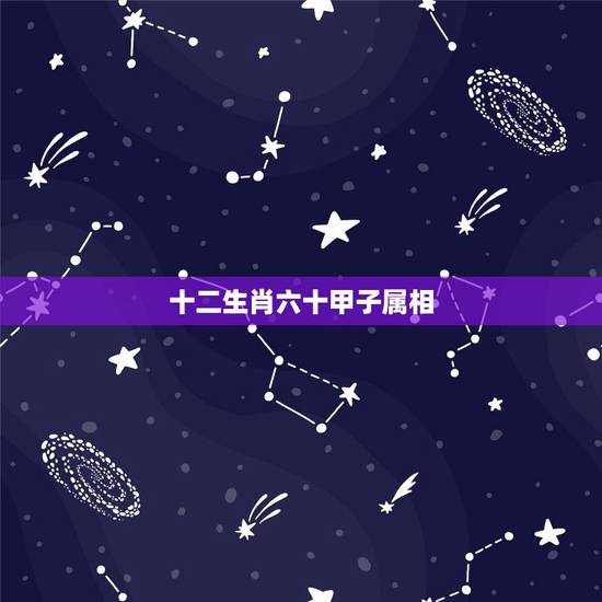 十二生肖六十甲子属相，六十甲子在十二生肖的含义