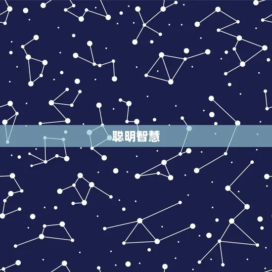 聪明智慧 聪明智慧