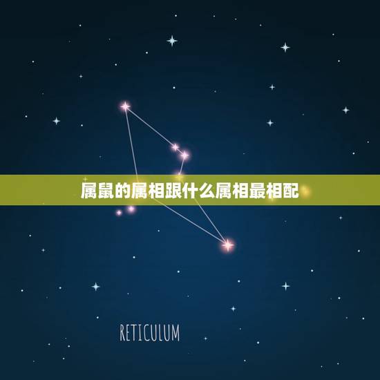 属鼠的属相跟什么属相最相配,84年属鼠和什么属相最配 属鼠的属相跟什么属相最相配,84年属鼠和什么属相最配