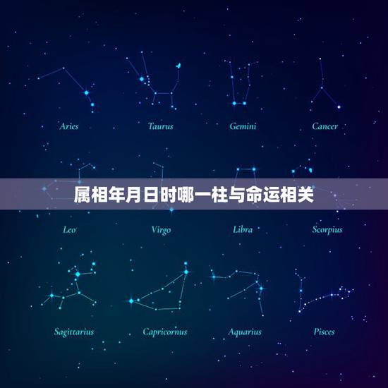 属相年月日时哪一柱与命运相关,属羊的是哪年出生 属相年月日时哪一柱与命运相关,属羊的是哪年出生