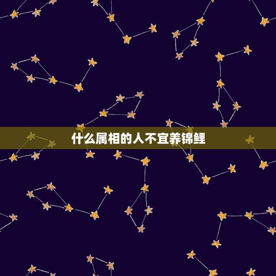 什么属相的人不宜养锦鲤,锦鲤有什么寓意 什么属相的人不宜养锦鲤,锦鲤有什么寓意