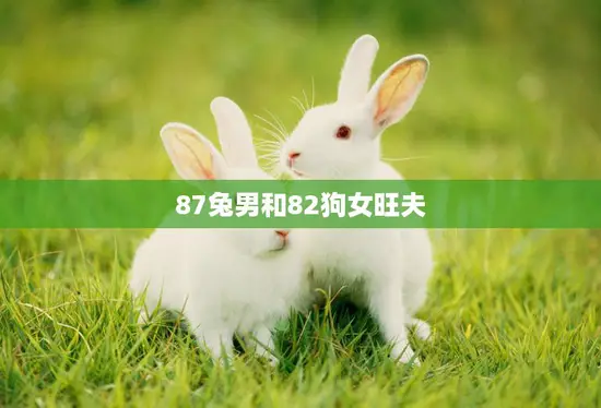 87兔男和82狗女旺夫(天生一对幸福长久)