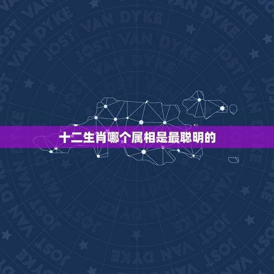 十二生肖哪个属相是最聪明的,什么属相的人最聪明? 十二生肖哪个属相是最聪明的,什么属相的人最聪明?