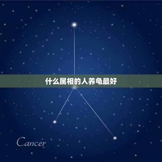 什么属相的人养龟最好，养乌龟有什么迷信说法？