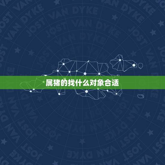 属猪的找什么对象合适，生肖属猪的更佳配偶