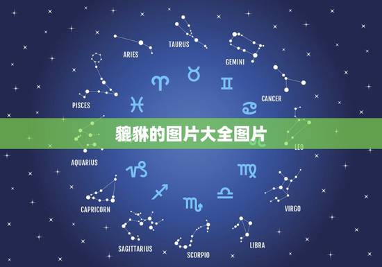 貔貅的图片大全图片,貔貅摆件怎么摆放图片大全 貔貅的图片大全图片,貔貅摆件怎么摆放图片大全