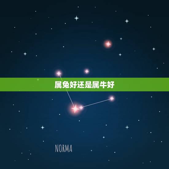 属兔好还是属牛好，属牛的戴什么好