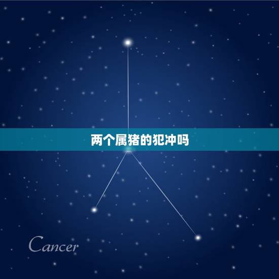 两个属猪的犯冲吗,两个属虎的人结婚好不好 两个属猪的犯冲吗,两个属虎的人结婚好不好