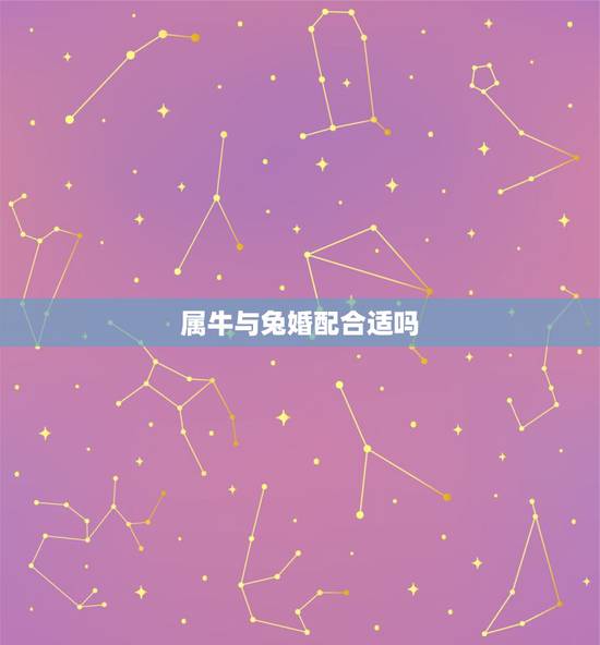 属牛与兔婚配合适吗，牛和兔合得来吗