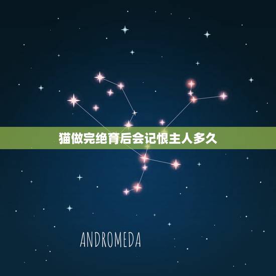 猫做完绝育后会记恨主人多久，猫做绝育会恨主人吗？