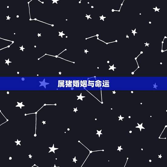 属猪婚姻与命运,85属牛的一生婚姻 属猪婚姻与命运,85属牛的一生婚姻