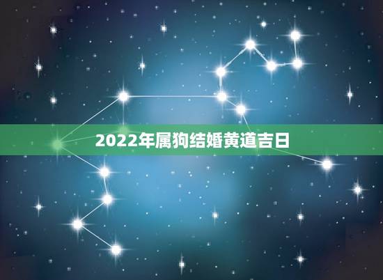 2022年属狗结婚黄道吉日,2022年属狗什么时候结婚更好 2022年属狗结婚黄道吉日,2022年属狗什么时候结婚更好