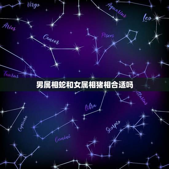 男属相蛇和女属相猪相合适吗，属蛇和属猪的合不合男蛇女猪能结婚吗