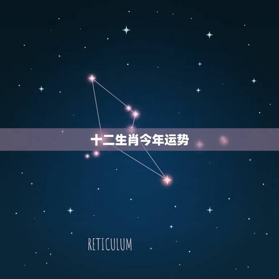 十二生肖今年运势，十二生肖2018年运势