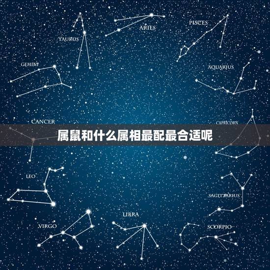 属鼠和什么属相最配最合适呢，属兔的和什么属相合适
