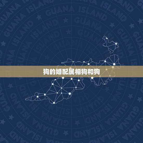 狗的婚配属相狗和狗,属狗的能和属狗的相配吗? 狗的婚配属相狗和狗,属狗的能和属狗的相配吗?