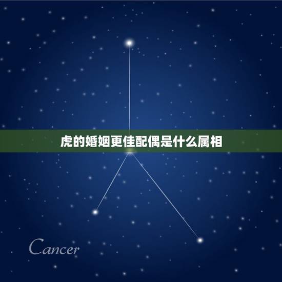 虎的婚姻更佳配偶是什么属相，属牛婚姻配什么生肖更好