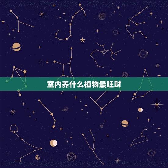 室内养什么植物最旺财，风水上家里养什么花好