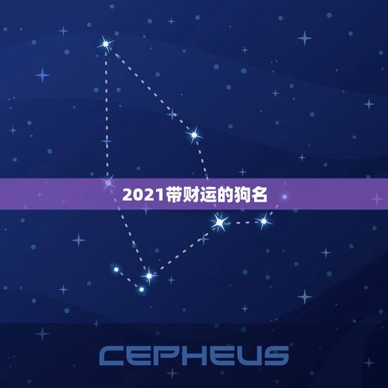 2021带财运的狗名,狗的名字洋气点带财运的名字有哪些? 2021带财运的狗名,狗的名字洋气点带财运的名字有哪些?