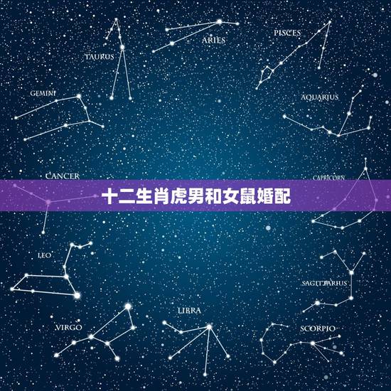 十二生肖虎男和女鼠婚配，男虎和女鼠相配吗