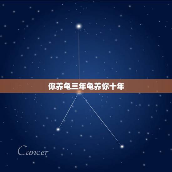 你养龟三年龟养你十年,求养龟专业人士, 这龟养10多年了,有感情了, 你养龟三年龟养你十年,求养龟专业人士, 这龟养10多年了,有感情了,