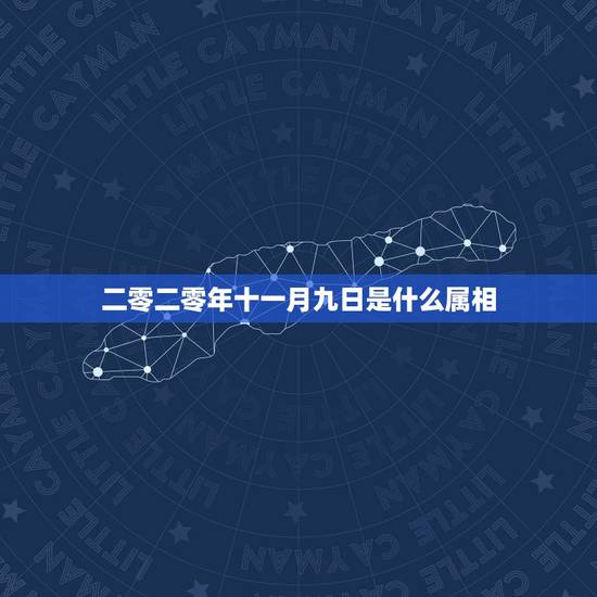 二零二零年十一月九日是什么属相,1998年11月9号属老虎的和什么属相 二零二零年十一月九日是什么属相,1998年11月9号属老虎的和什么属相