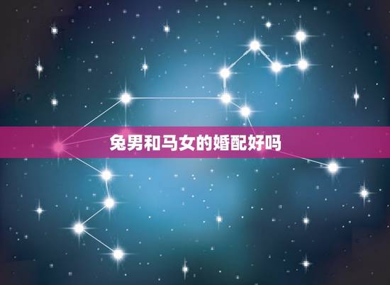 兔男和马女的婚配好吗,属兔男和属马女结婚好吗? 兔男和马女的婚配好吗,属兔男和属马女结婚好吗?