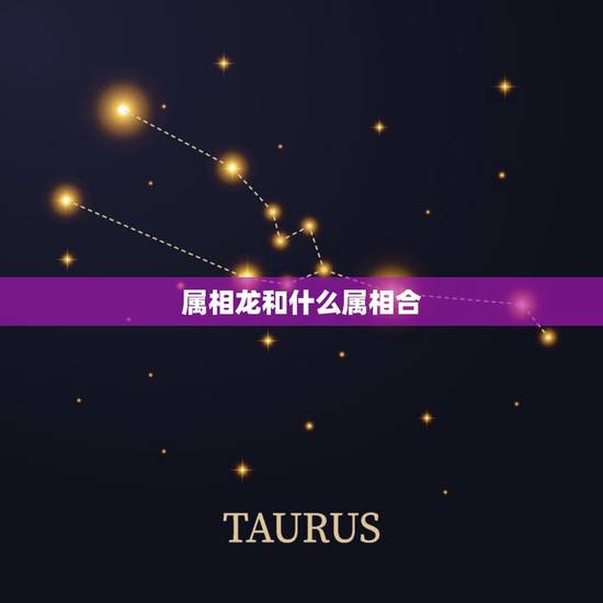 属相龙和什么属相合，和什么属相不合，属龙的和什么属相最配和什么不配