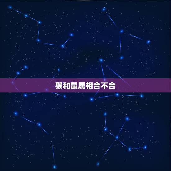 猴和鼠属相合不合,猴和鼠合不合 猴和鼠属相合不合,猴和鼠合不合