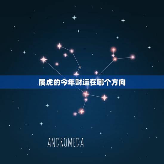 属虎的今年财运在哪个方向,生肖虎做生意门头超什么方向财运好 属虎的今年财运在哪个方向,生肖虎做生意门头超什么方向财运好