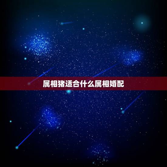 属相猪适合什么属相婚配,猪跟什么属相配 属相猪适合什么属相婚配,猪跟什么属相配