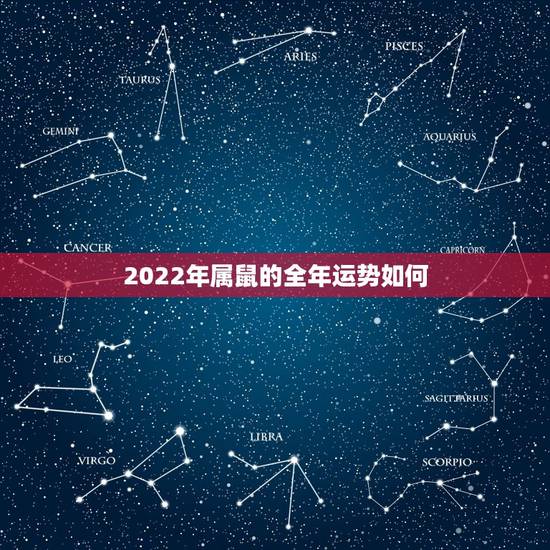 2022年属鼠的全年运势如何,72年属鼠48岁有一灾2022 2022年属鼠的全年运势如何,72年属鼠48岁有一灾2022