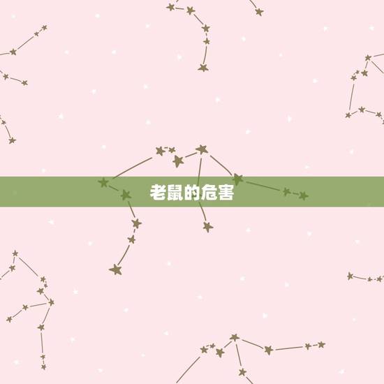 老鼠的危害 老鼠的危害