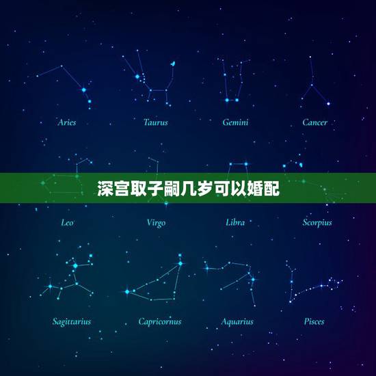 深宫取子嗣几岁可以婚配，《深宫曲》怎么过继别人孩子？