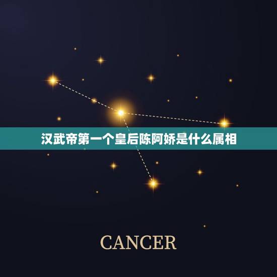 汉武帝第一个皇后陈阿娇是什么属相，汉武帝刘彻一生有多少位皇后？都是怎样