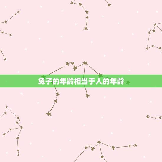 兔子的年龄相当于人的年龄,养兔子一年等于人的多少岁 兔子的年龄相当于人的年龄,养兔子一年等于人的多少岁