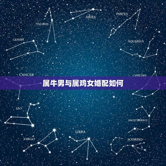 属牛男与属鸡女婚配如何,属相婚配:男属牛和女属鸡相配吗 属牛男与属鸡女婚配如何,属相婚配:男属牛和女属鸡相配吗