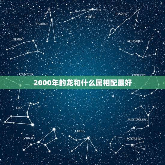 2000年的龙和什么属相配最好，2000年属龙最佳婚配