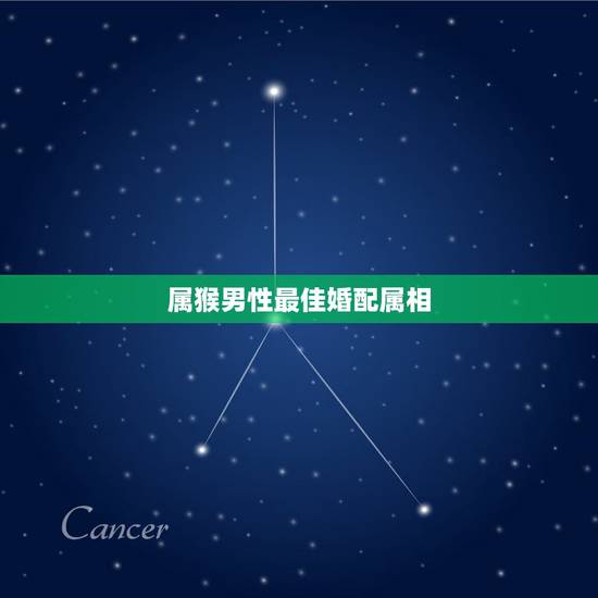 属猴男性最佳婚配属相,属猴男最配的属相,男属猴的属相婚配表,属猴男和什 属猴男性最佳婚配属相,属猴男最配的属相,男属猴的属相婚配表,属猴男和什