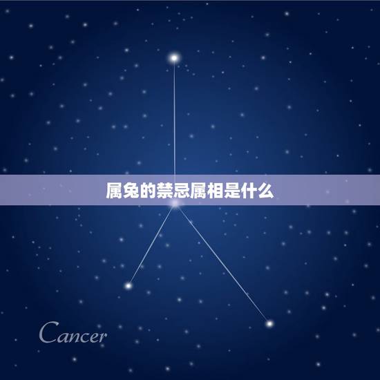 属兔的禁忌属相是什么,今年立春的时候属兔的和什么属相相克吗 属兔的禁忌属相是什么,今年立春的时候属兔的和什么属相相克吗