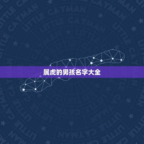 属虎的男孩名字大全，2022属虎的男孩取名大全
