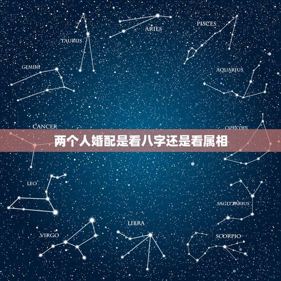 两个人婚配是看八字还是看属相，男女合不合婚看属相还是看生辰八字
