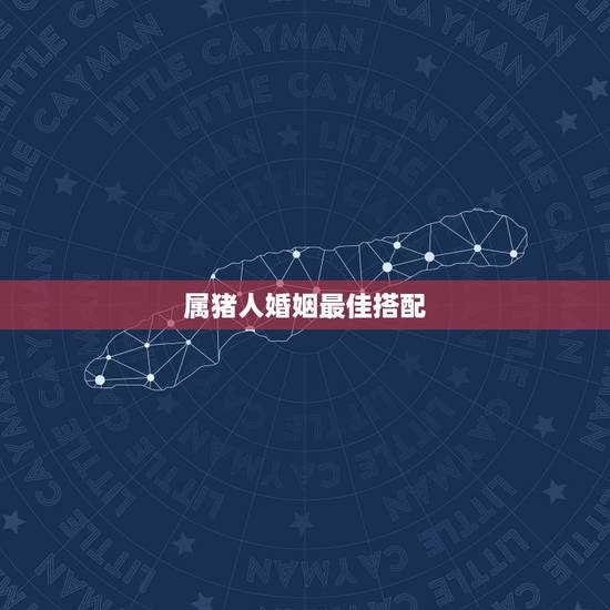 属猪人婚姻最佳搭配,属猪的与什么相配最好 属猪人婚姻最佳搭配,属猪的与什么相配最好