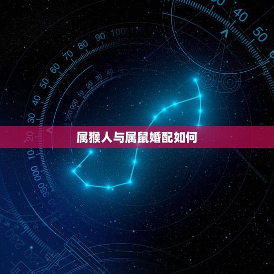 属猴人与属鼠婚配如何,属猴与属鼠的在一起怎么样? 属猴人与属鼠婚配如何,属猴与属鼠的在一起怎么样?