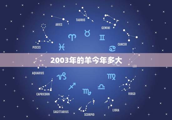 2003年的羊今年多大，2003年生肖羊男的命运