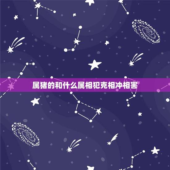 属猪的和什么属相犯克相冲相害，属猪和什么生肖相冲