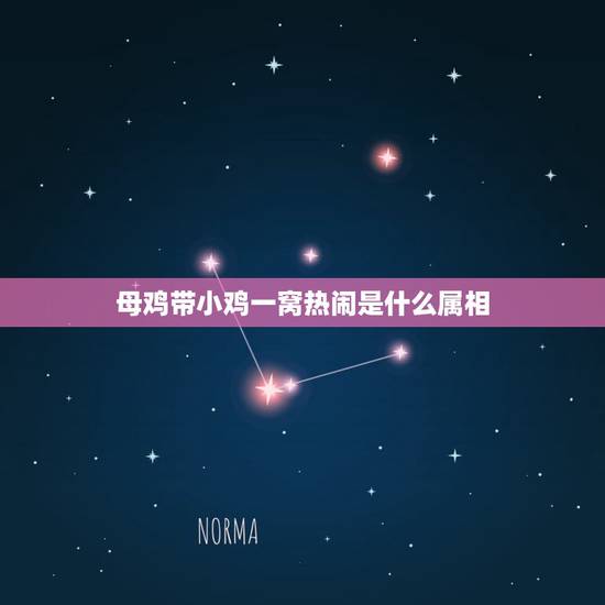 母鸡带小鸡一窝热闹是什么属相,母鸡带小鸡在十二生肖是哪些动物 母鸡带小鸡一窝热闹是什么属相,母鸡带小鸡在十二生肖是哪些动物